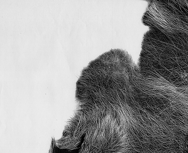 Beating_Making-of_0_LowRes