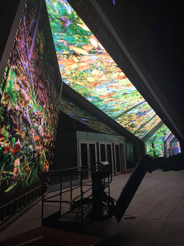 Ingénia_Making-of_42_LowRes