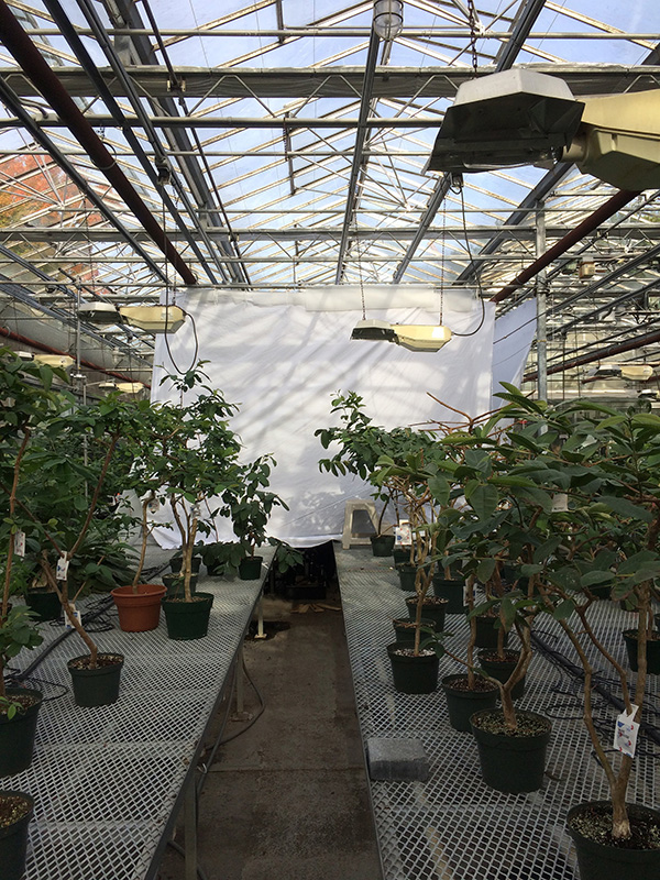 Kyma_making-of-101_LowRes