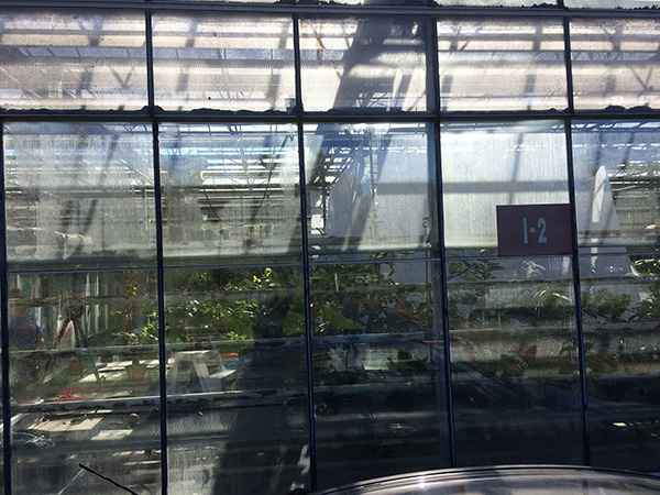 Kyma_making-of-103_LowRes