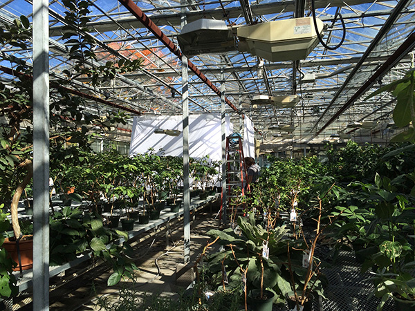 Kyma_making-of-104JPG_LowRes