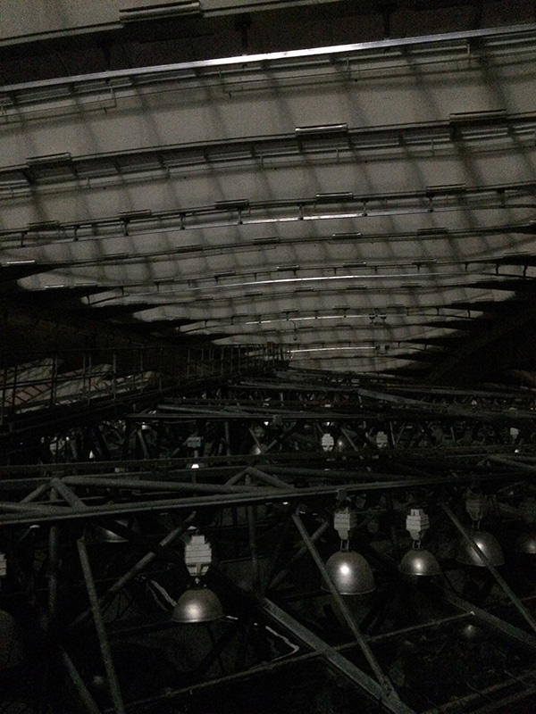 Kyma_making-of-119_LowRes