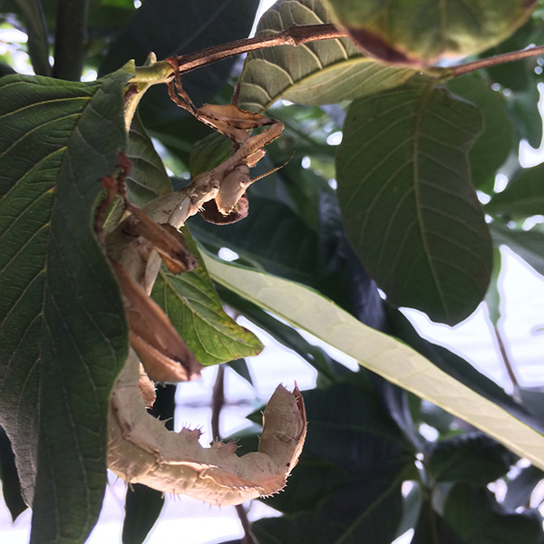 Kyma_making-of-94_LowRes