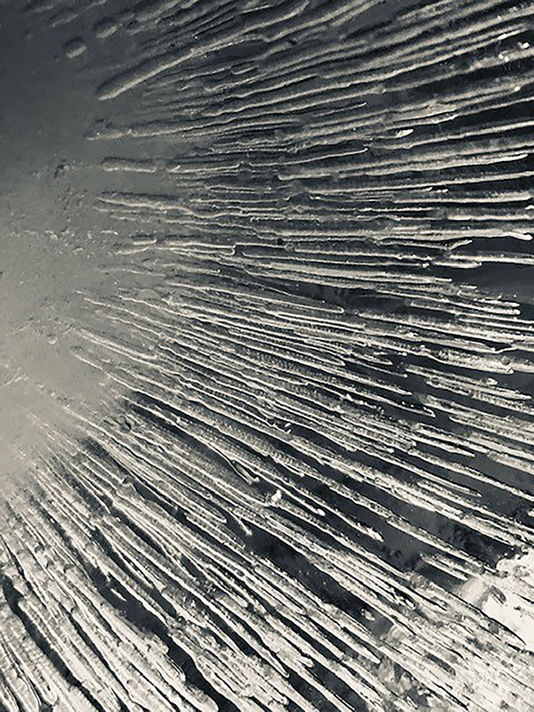 MDG_ making of _ 157_LowRes