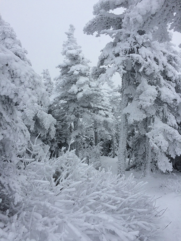 MDG_ making of _ 72_LowRes