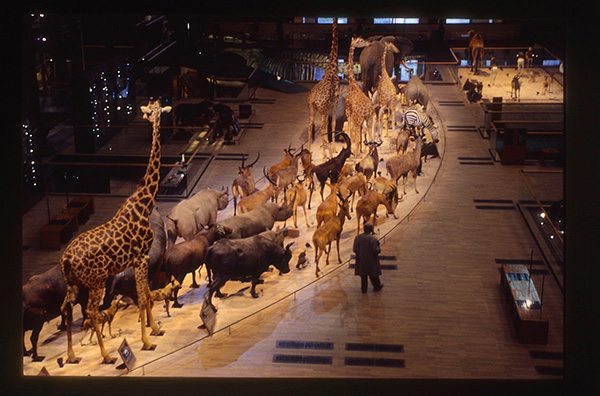 Mystère B. _making-of_ 54_LowRes