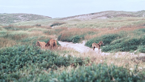 Sables _making-of_50a_LowRes